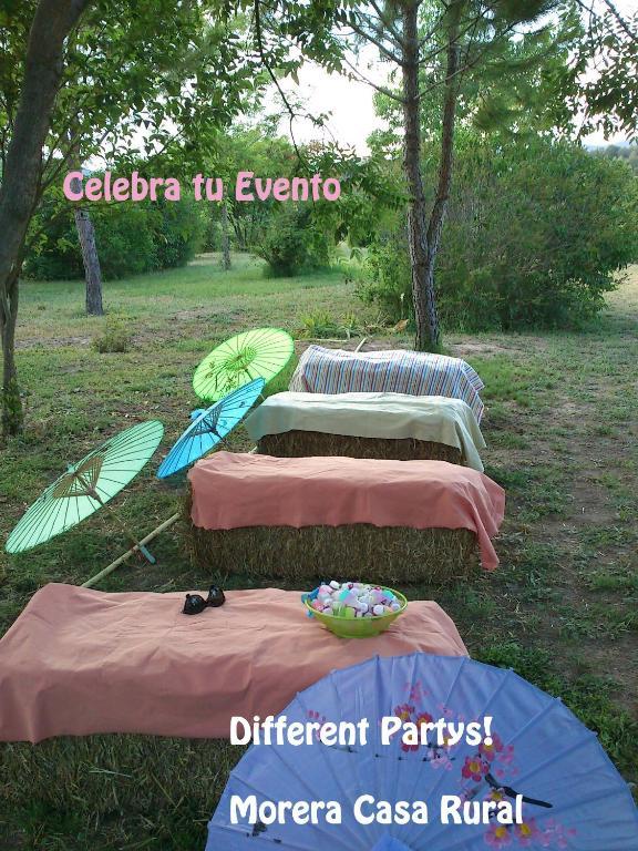 Casa Rural Morera Guest House Онтиниент Екстериор снимка